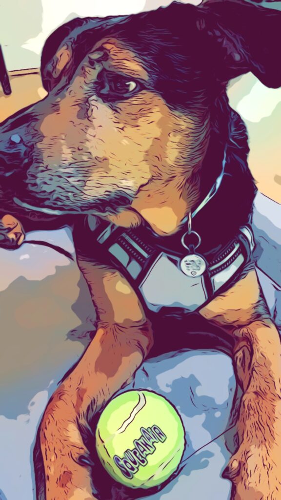 Oliver, the hound dog
